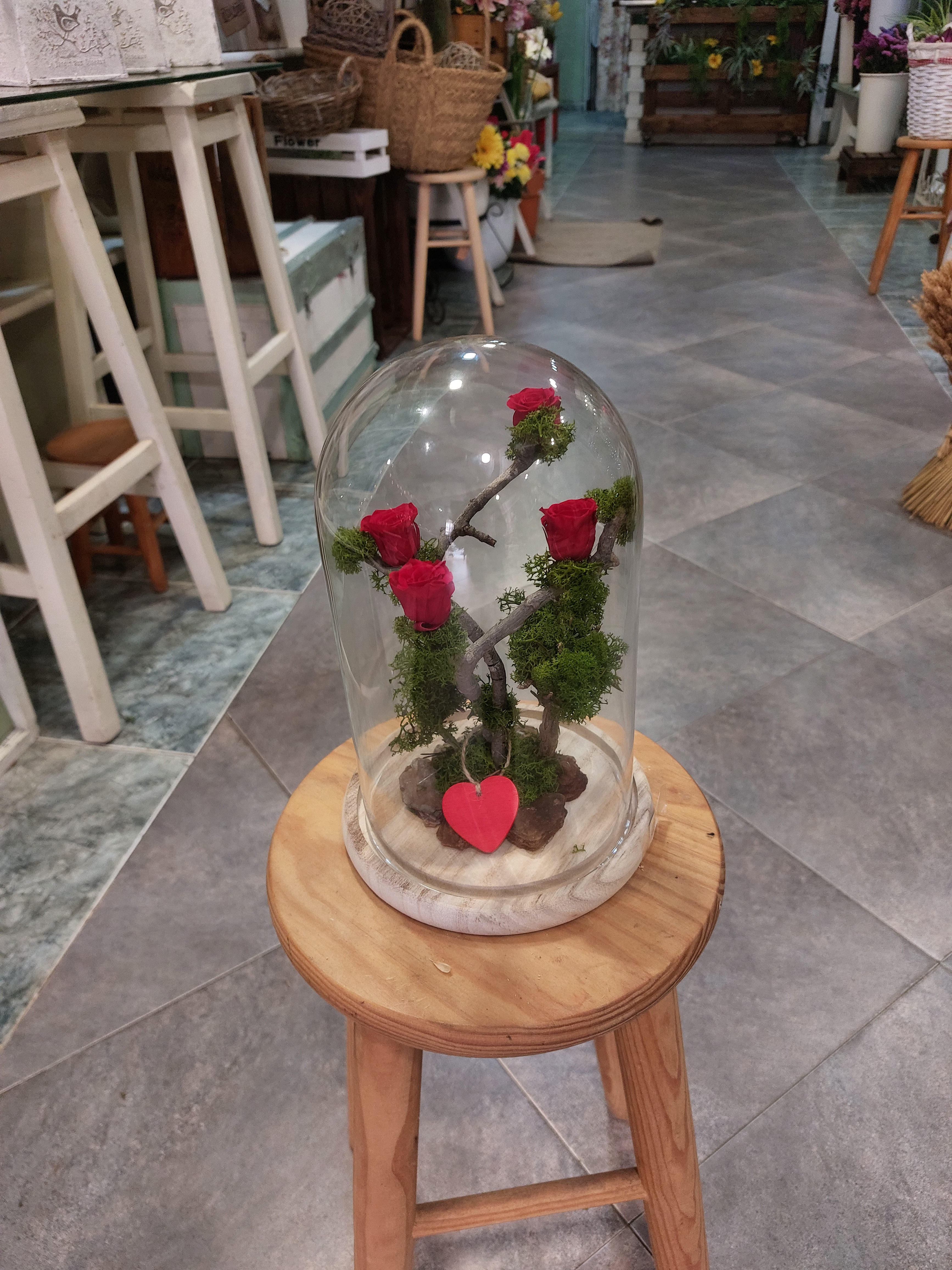 Cúpula de 4 Rosas Preservadas - Imagen 2
